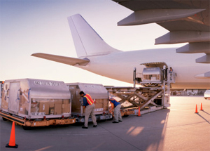 cargo logistics